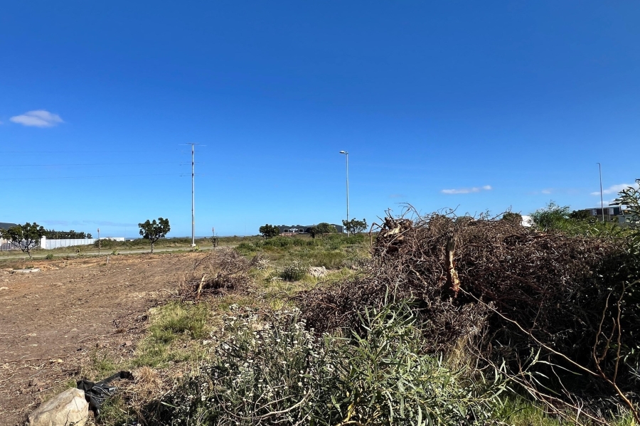 0 Bedroom Property for Sale in Fountains Estate Eastern Cape